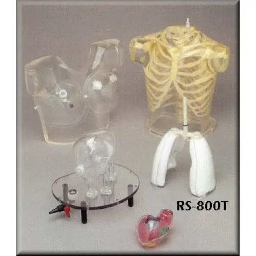 Heart/Thorax phantom